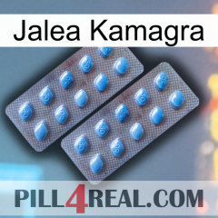 Jelly Kamagra viagra4